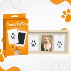 Kit empreintes chat chien + cadre trio
