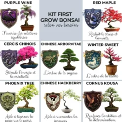 Kit first bonsai winter sweet avec accessoires