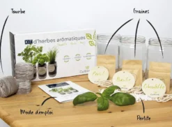 Kit herbes aromatiques bio – basilic, persil & ciboulette