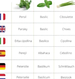 Kit herbes aromatiques bio – basilic, persil & ciboulette