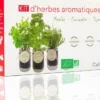 Kit herbes aromatiques bio – menthe, thym & coriandre