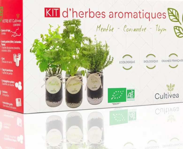 Kit herbes aromatiques bio – menthe, thym & coriandre