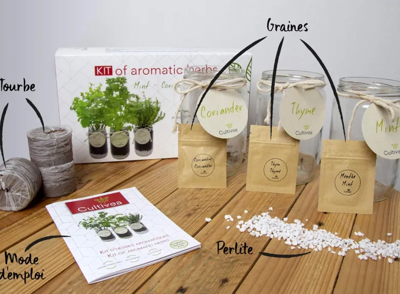 Kit herbes aromatiques bio – menthe, thym & coriandre