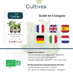 Kit herbes aromatiques bio – menthe, thym & coriandre
