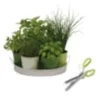Kit herbes aromatiques en cuisine