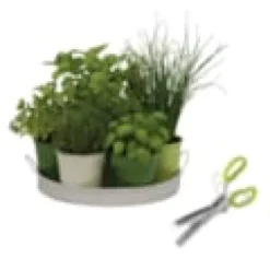 Kit herbes aromatiques en cuisine