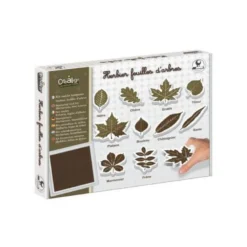 Kit herbier feuilles d'arbre - kit outil