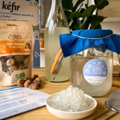 Kit kéfir de fruit bio complet