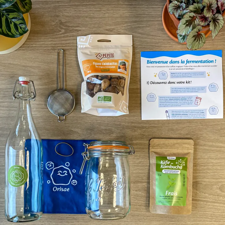 Kit kéfir de fruit bio complet