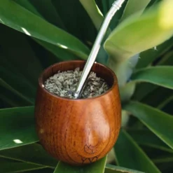 Kit maté découverte
