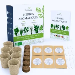 Kit prêt à pousser herbes aromatiques bio