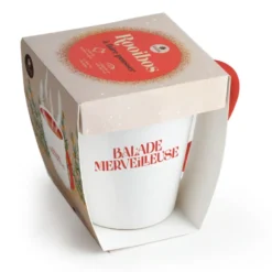 Kit Roiboos à faire pousser