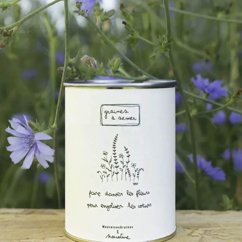 Kit à semer danser les fleurs