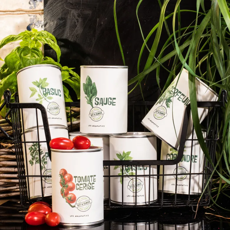 Kit à semer du basilic