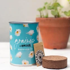 Kit à semer graines d'amour