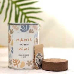Kit à semer mamie t'es la plus mimi