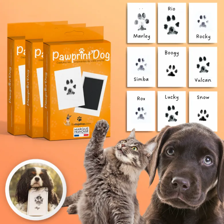 3 kits empreinte patte chien & chat