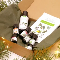 La box essentielle
