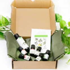 La box essentielle