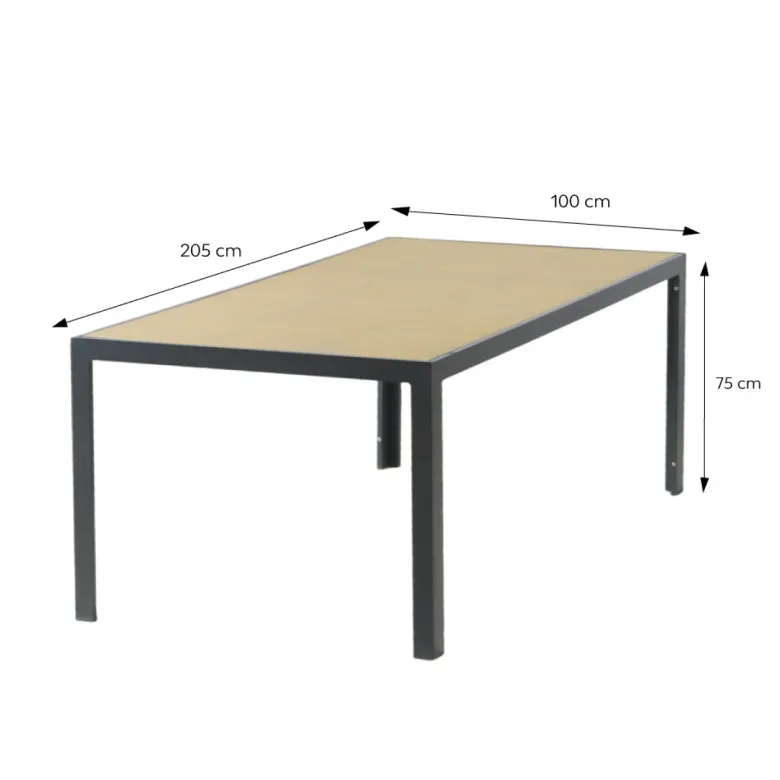 Lagos ensemble table de jardin 200 cm en aluminium et 10 chaises pliantes