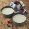 Lait entier en poudre lyophilisé trek'n eat