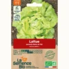 Laitue reine de mai de pleine terre bio