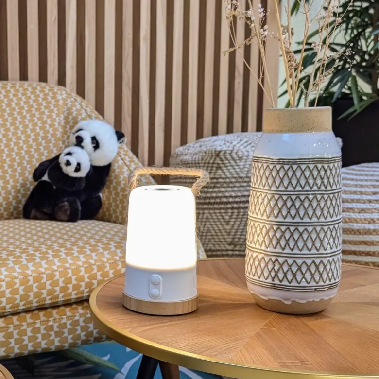 Lampe enceinte nomade rgb bluetooth – lumière et son dynamique