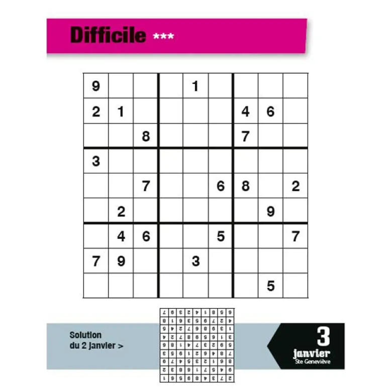 L'année à bloc : passion Sudoku
