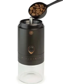 L'arbre à café