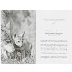 La sagesse des loups