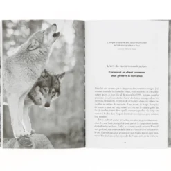 La sagesse des loups