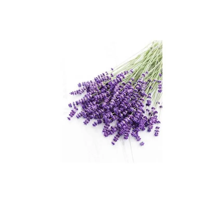 Lavande vraie - huile essentielle bio - 30ml garantie chromacert® - chémotypée &