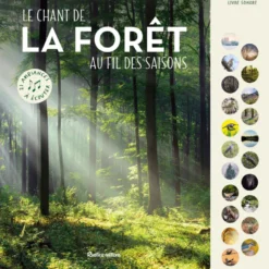 Le chant de la forêt au fil des saisons