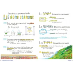 Le Français en 100 fiches illustrées