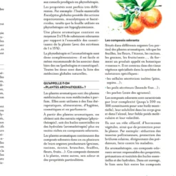 Le grand guide des huiles essentielles