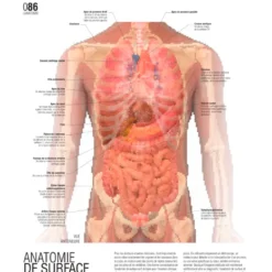 Le grand guide visuel du corps humain