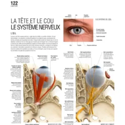 Le grand guide visuel du corps humain