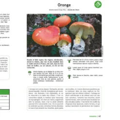 Le Grand Livre des champignons 2027