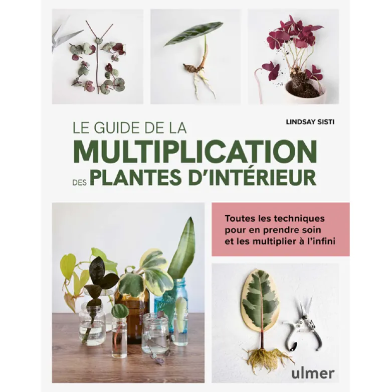 Le guide de la multiplication des plantes d'intérieur