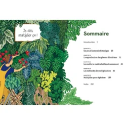 Le guide de la multiplication des plantes d'intérieur