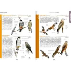 Le guide nature - Les oiseaux