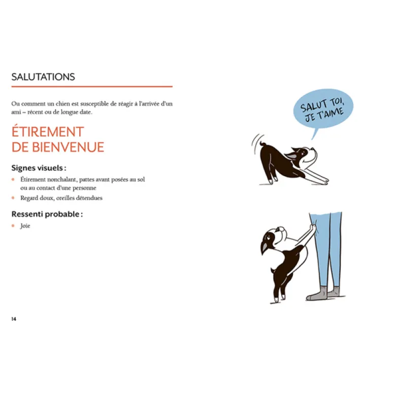 Le langage du chien
