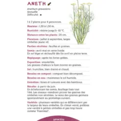 Les antisèches des plantes aromatiques