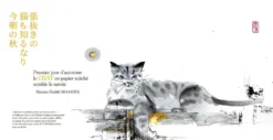 Les chats de mika