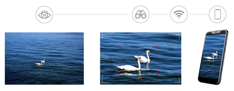 Levenhuk photojumelles numériques kelvin snap ed 8x42