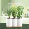 Lilo Connect potager intérieur connecté