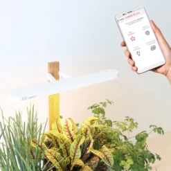 Lilo Connect potager intérieur connecté