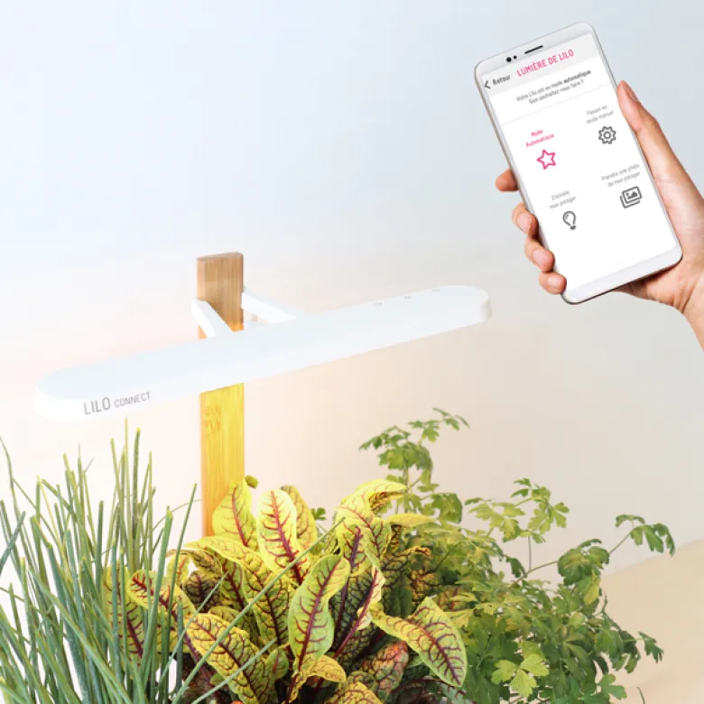 Lilo Connect potager intérieur connecté