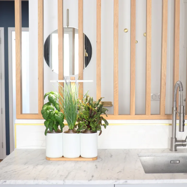 Lilo Connect potager intérieur connecté
