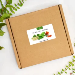 L'incontournable box